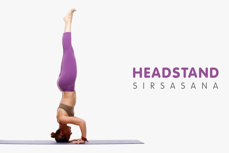 Sirshasana (Headstand)