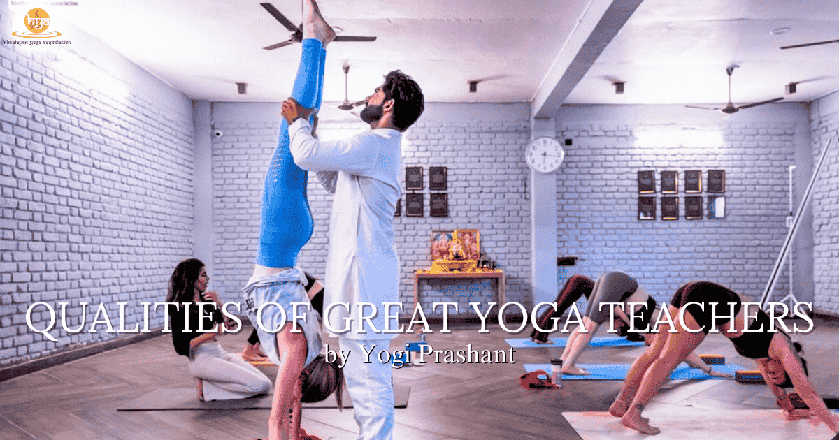 Qualities of Great Yoga Teachers | How to Become a Professional Yoga Teacher
