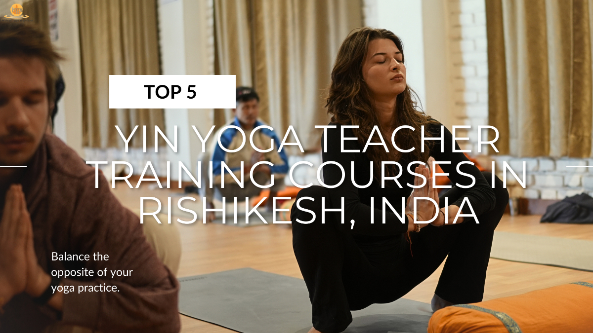 Top 5 Yin Yoga Teacher Training Courses In Rishikesh India