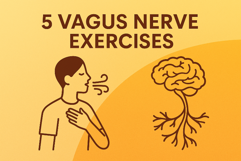 5 Vagus Nerve Exercises You Can Do at Your Desk (To Stop Anxiety Instantly)
