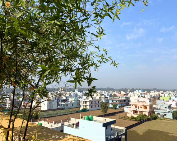 Yoga Teacher Training Rishikesh Yin Yoga Hall Image 2