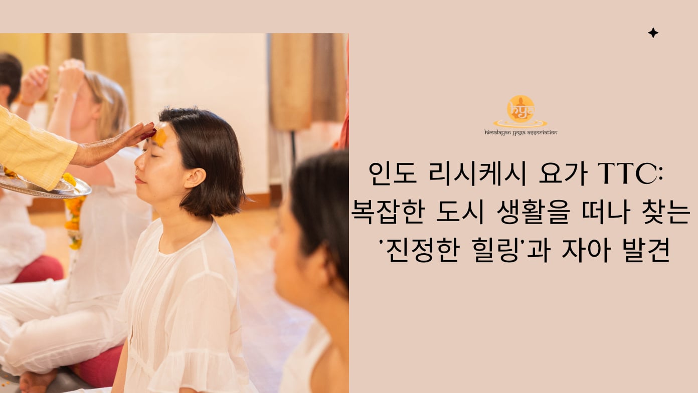인도 리시케시 요가 TTC: 복잡한 도시 생활을 떠나 찾는 ‘진정한 힐링’과 자아 발견