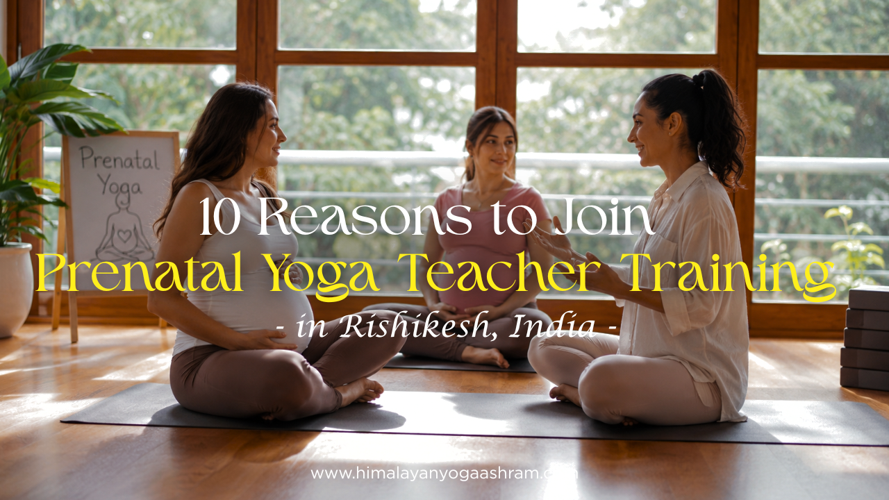 10 Reasons to Join Prenatal Yoga Teacher Training
