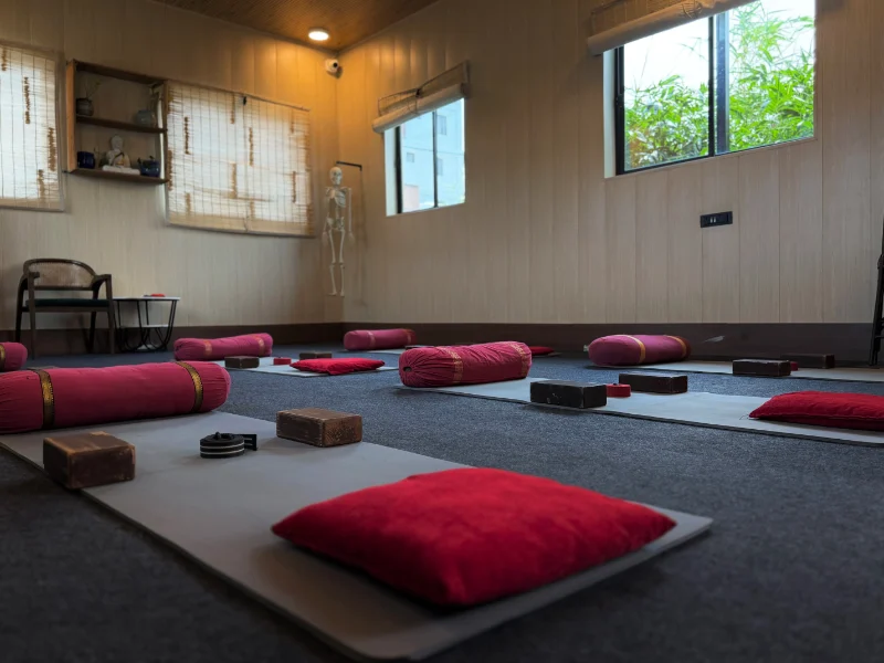 Yoga students practicing during a 200 hour Yin Yoga teacher training course