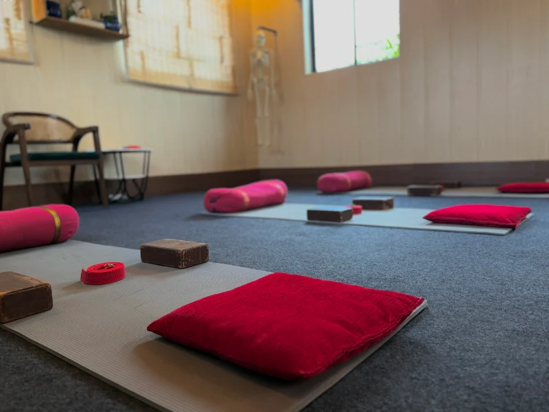Himalayan Yoga Association Yin Yoga teacher training shala in Rishikesh India