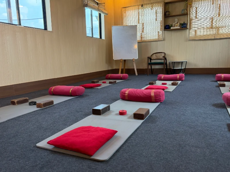 200 hour Yin Yoga TTC practical class at Himalayan Yoga Association