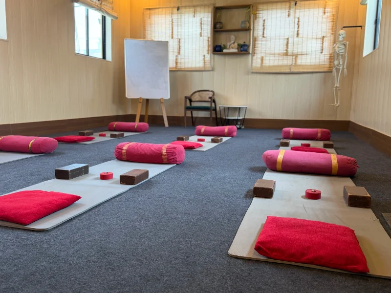 Yin Yoga teacher training students learning in the Rishikesh yoga shala