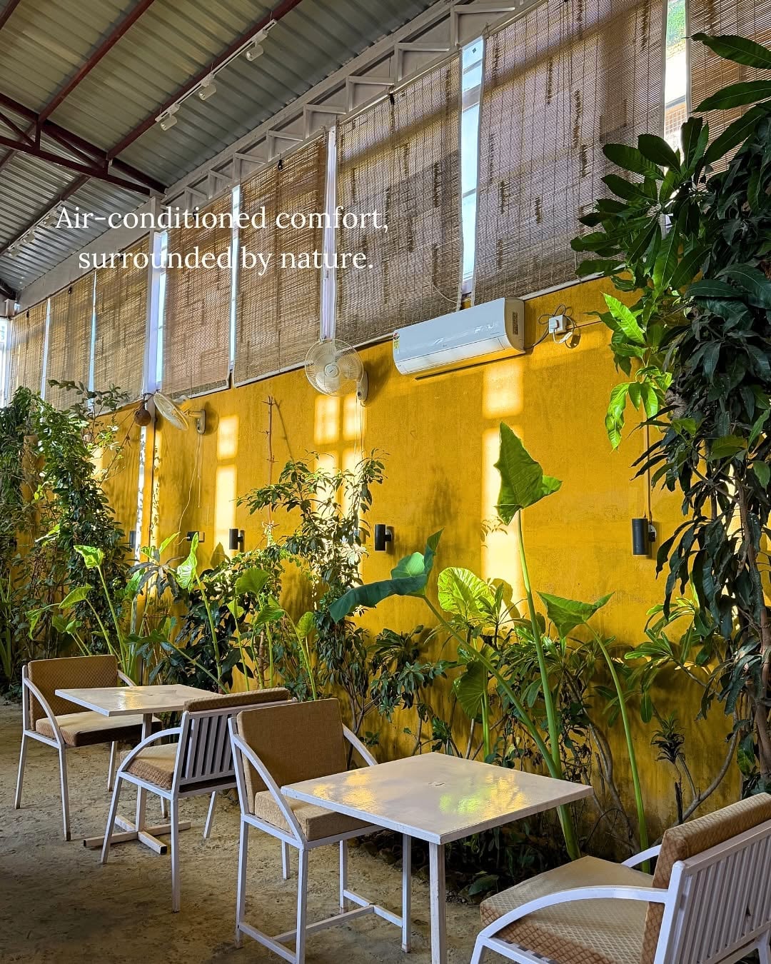 Peaceful seating at Himalayan Gardena Cafe