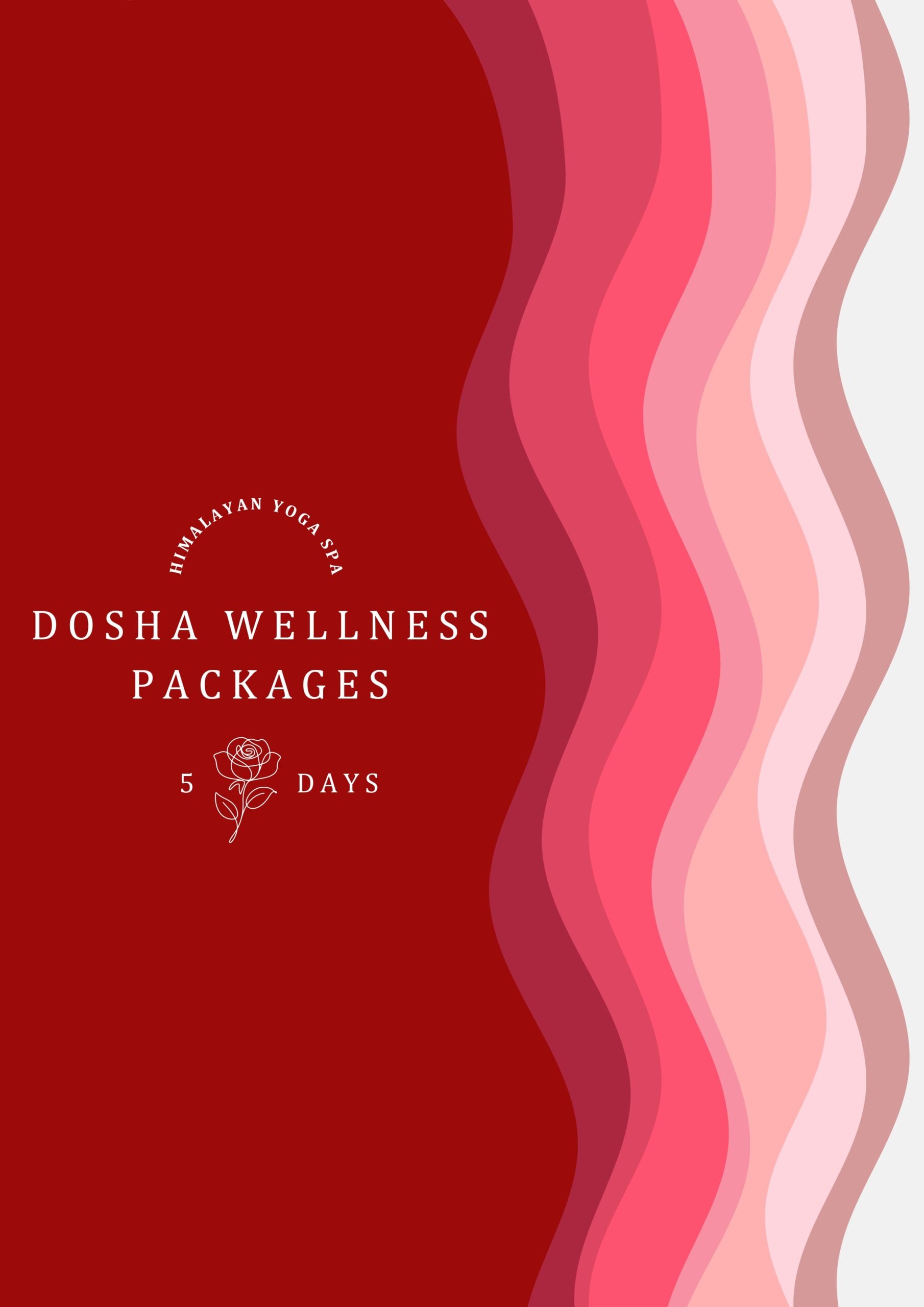 Overview of Himalayan Yoga Spa Dosha Wellness Packages in Rishikesh