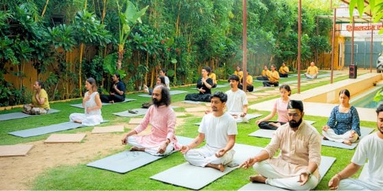 3 Best Yin Yoga Teacher Training Schools in Rishikesh (2026–2027)