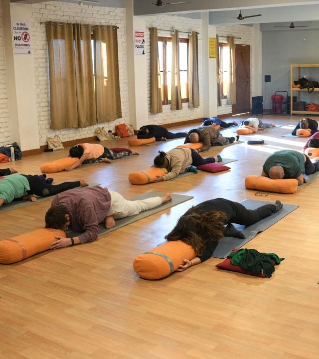 50-hour Yin Yoga teacher training in Rishikesh
