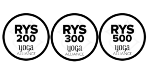 RYS-200-300-500