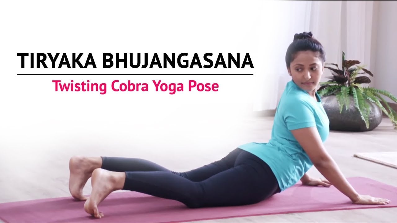Tiryaka Bhujangasana (Twisted Cobra pose) Himalayan Yoga Association