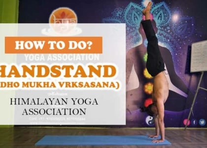 how-to-do-handstand-Adho-Mukha-Vrksasana-beginners-hya-800-450