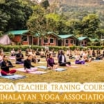 Best 200 hour yoga teacher training course in rishikeh