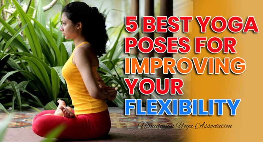 5 best yoga poses