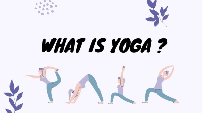 what is yoga by himalayan yoga association