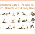 daily full body stretching and bemefits