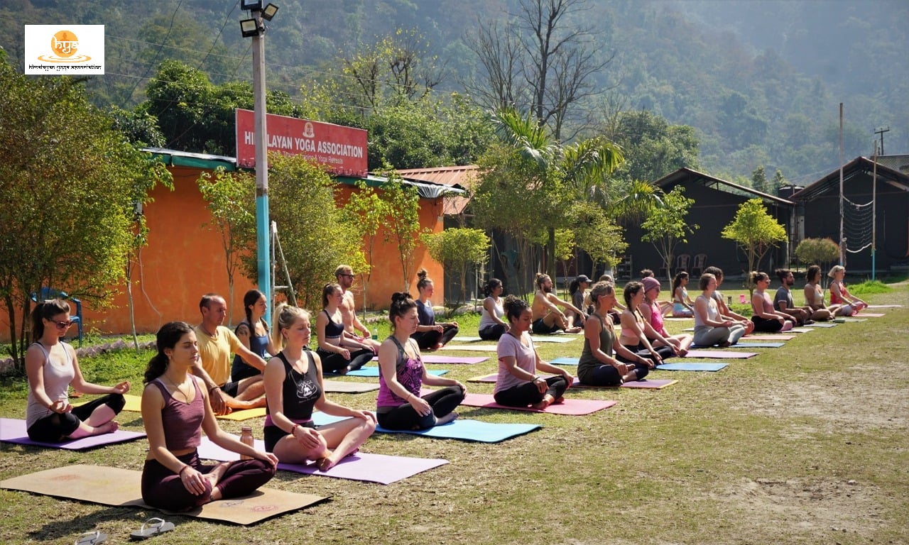 best yoga alliance certified yoga teacher training thailand