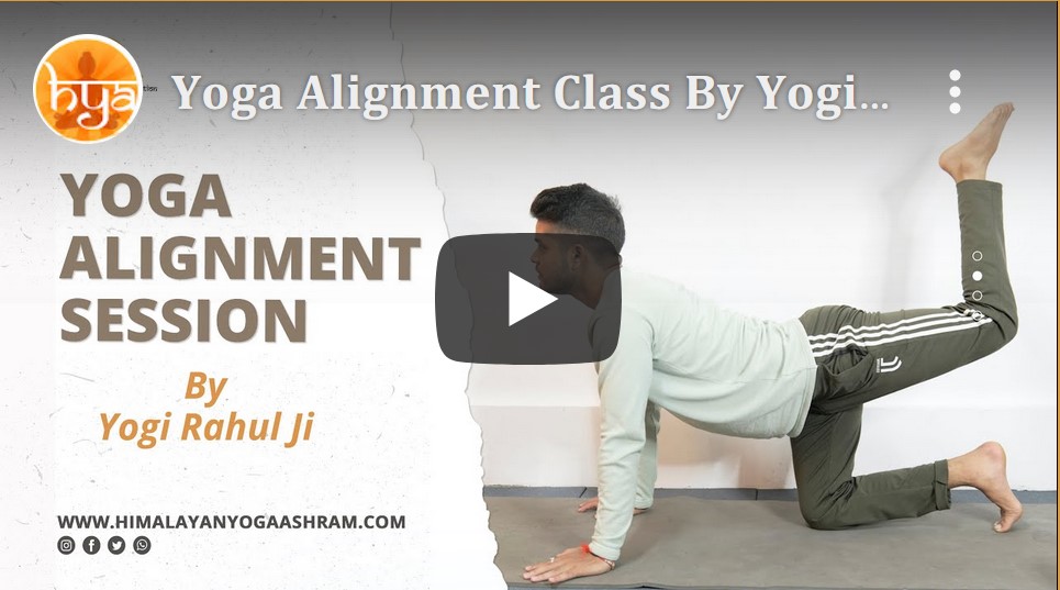 yoga alignment session