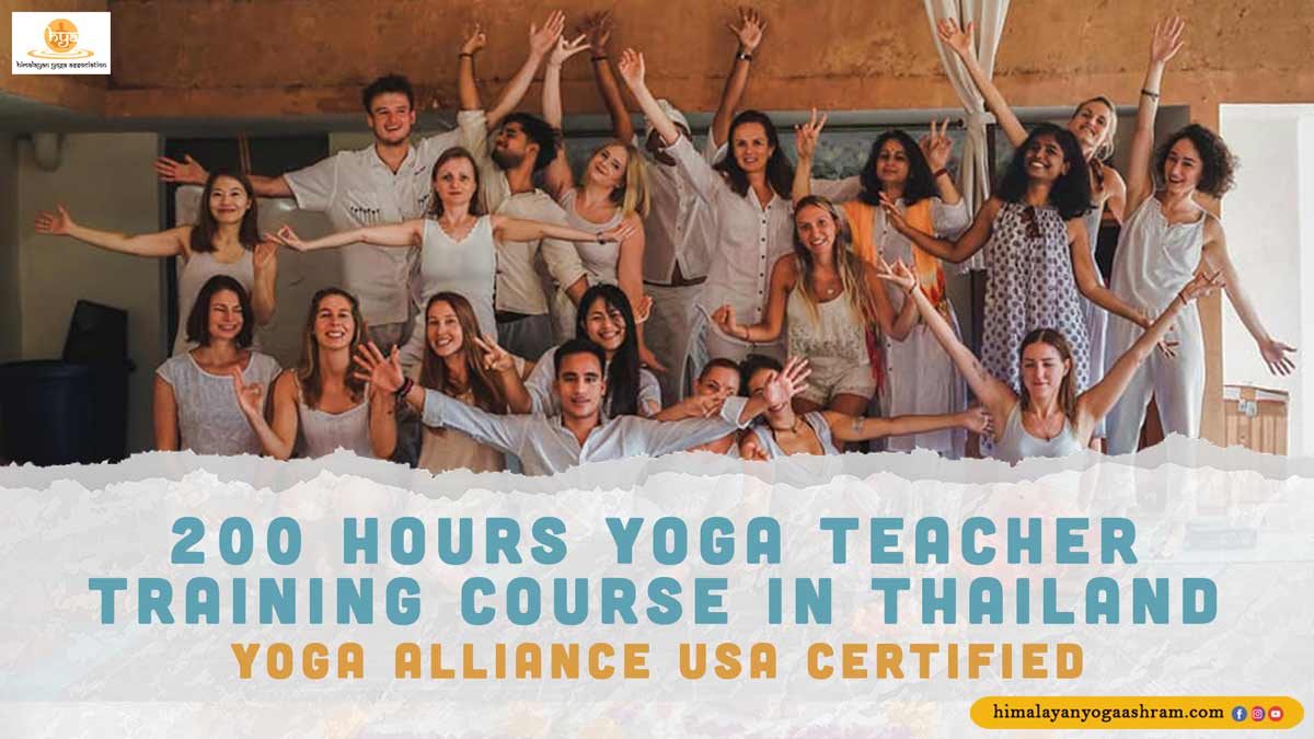 200 hour yoga teacher training in thailand