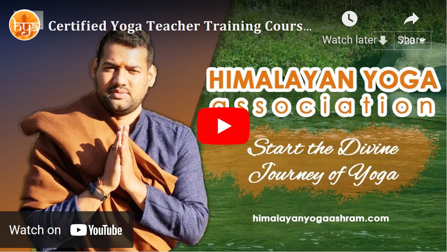 yoga teacher training course thailand