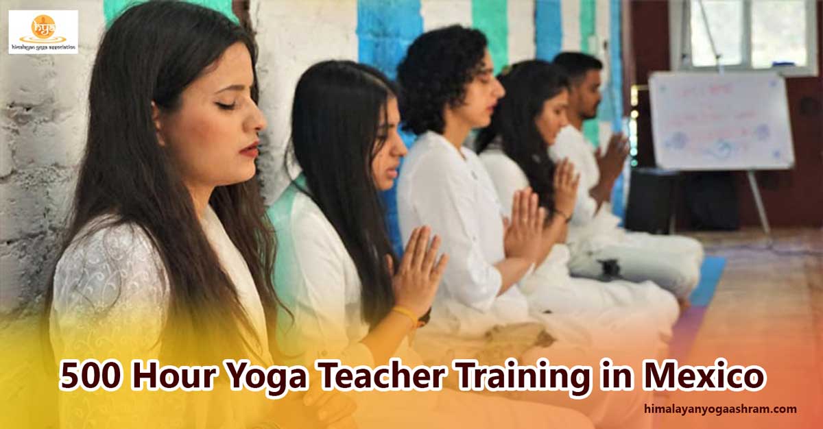 500-hour-online-yoga-teacher-training-course-mexico