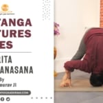 Prasarita Padottanasana - Himalayan Yoga Association