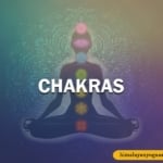 Chakras in the Human body-Himalayan Yoga Association