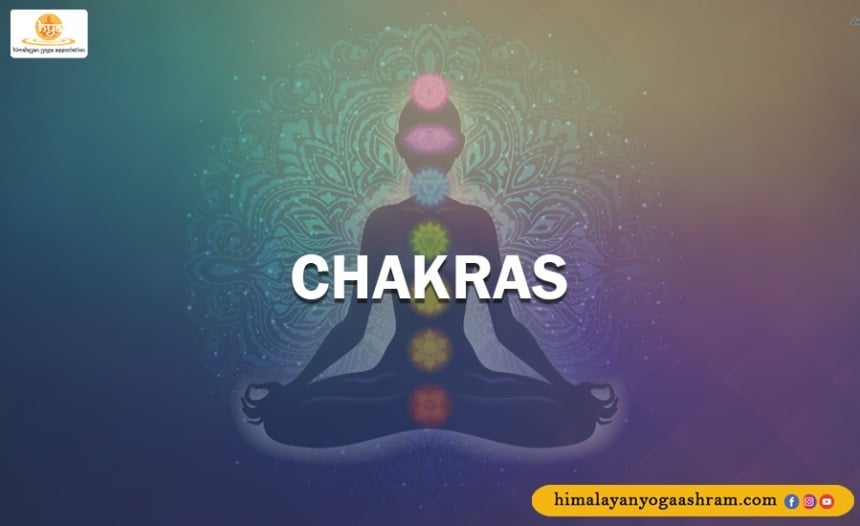 Chakras in the Human body-Himalayan Yoga Association