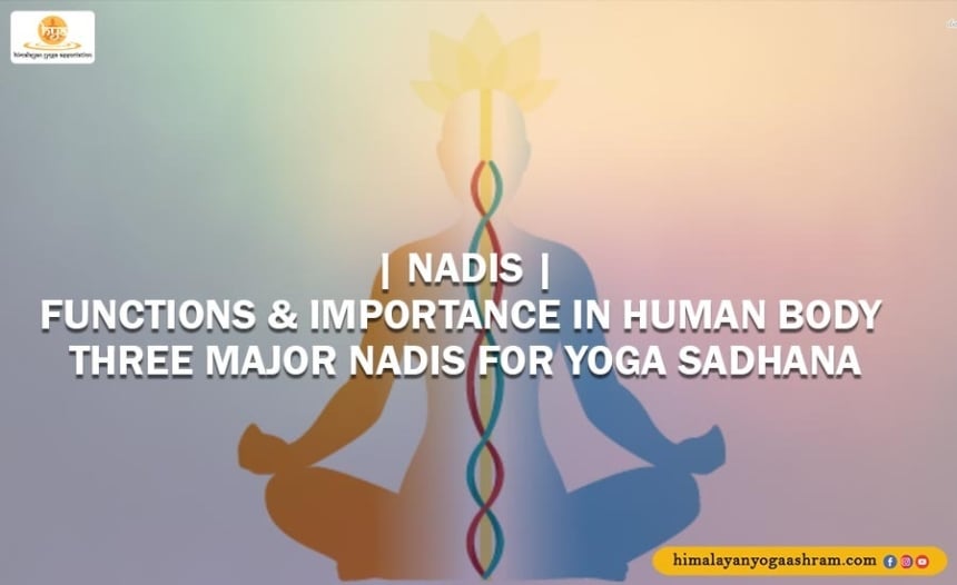 Nadis- Functions & Importance in Human Body Three Major Nadis for Yoga Sadhana