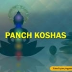 Panch-Koshas- Himalayan Yoga Association