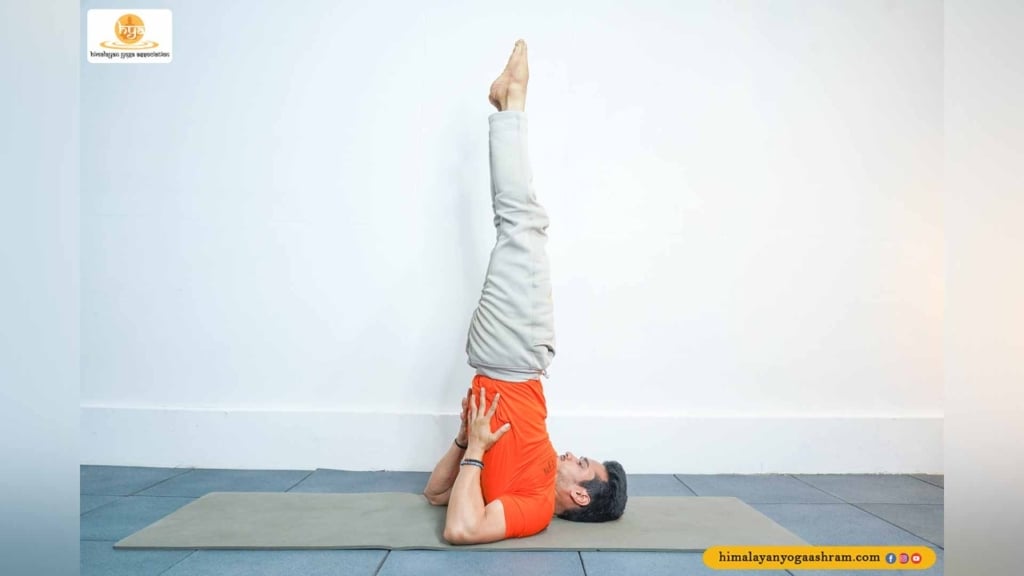 Sarvangasana
