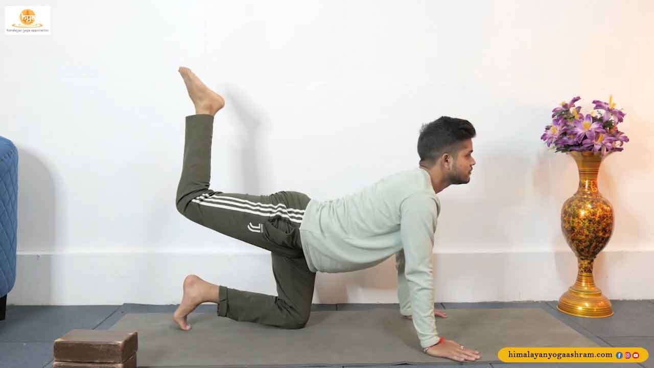 Yoga Alignment Class By Yogi Rahul Ji - Himalayan Yoga Association