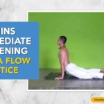 15 Mins Intermediate Hip Opening Vinyasa Flow Practice - Himalayan Yoga Association
