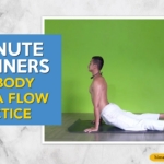 15 Minute Beginners Full Body Vinyasa Flow Practice - Himalayan Yoga Association