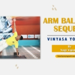 Vinyasa Yoga Flow Arm Balancing Sequence - Himalayan Yoga Association