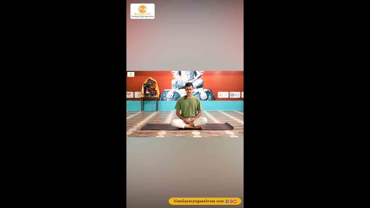 Yoga Teacher Training In Rishikesh India | Himalayan Yoga Association