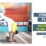 Second Week Flow 2 Part 2 - himalayan Yoga Association