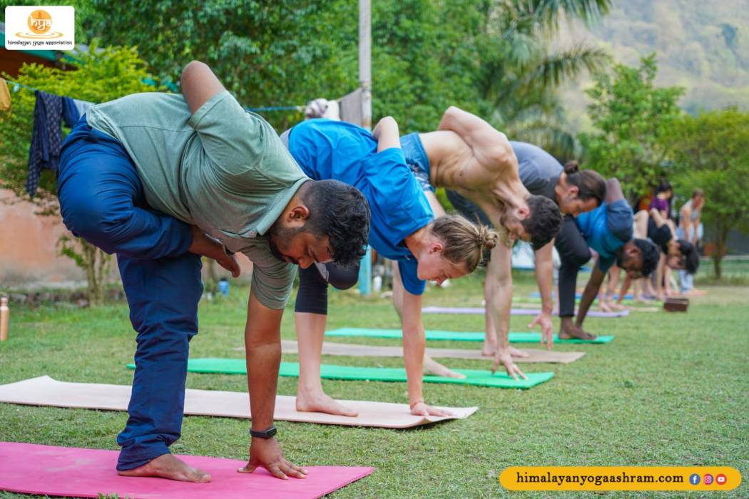 500 Hours Yoga Teacher Training In Nepal - Himalayan Yoga Association