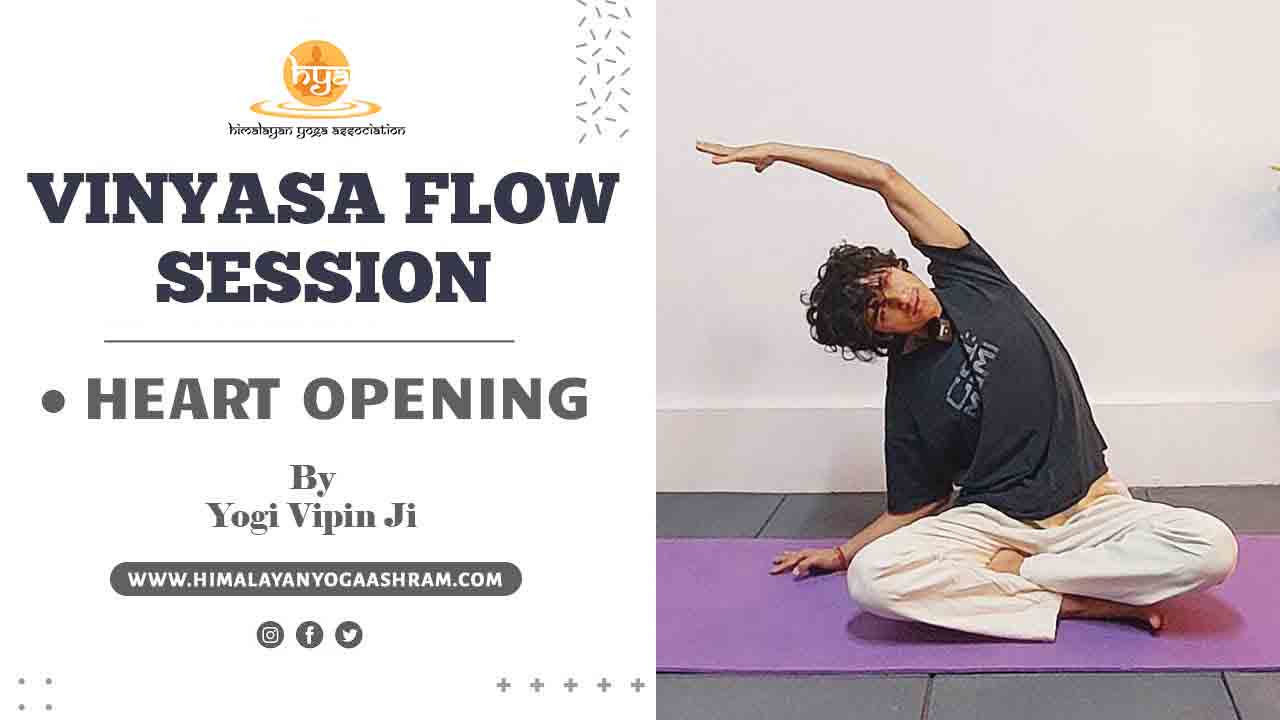 Yoga for Beginners - Himalayan Yoga Association