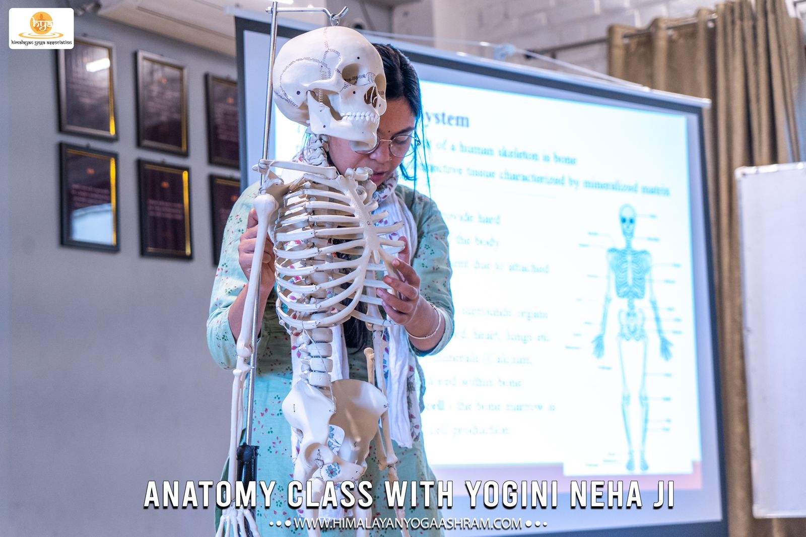 Female anatomy and Male anatomy himalayan yoga association 3