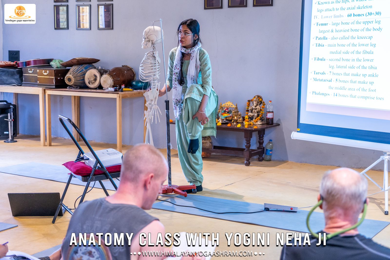 Female anatomy and Male anatomy himalayan yoga association 3