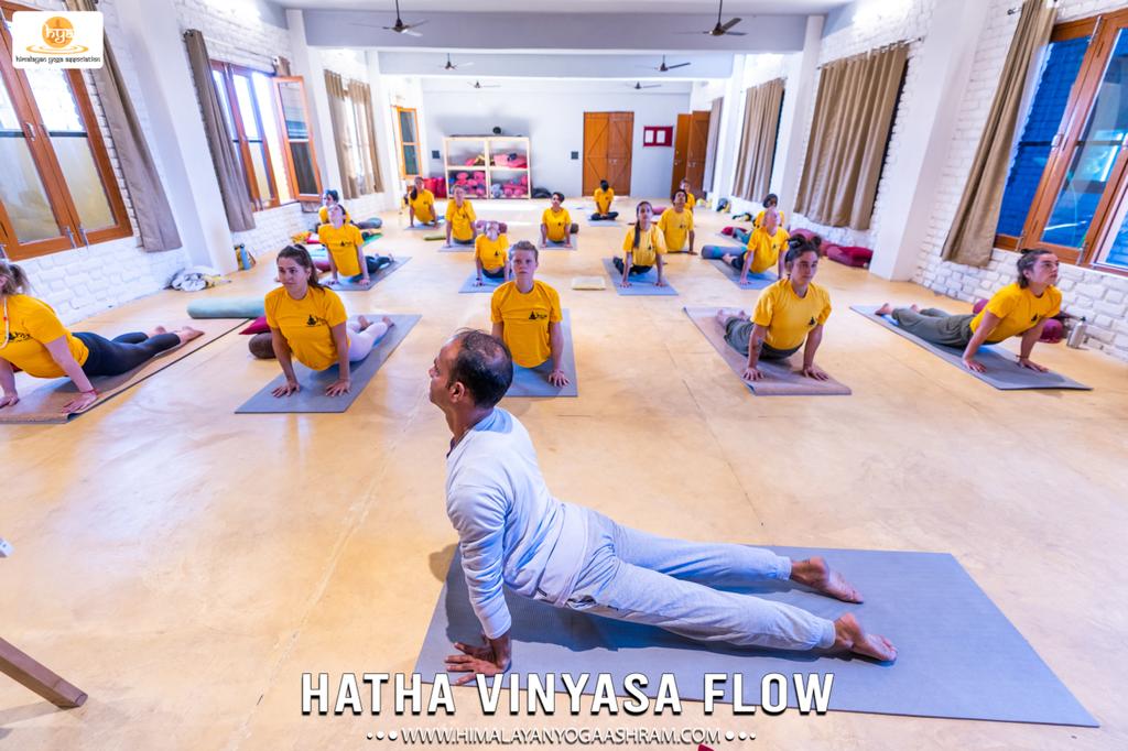 himalayan yoga association yoga school